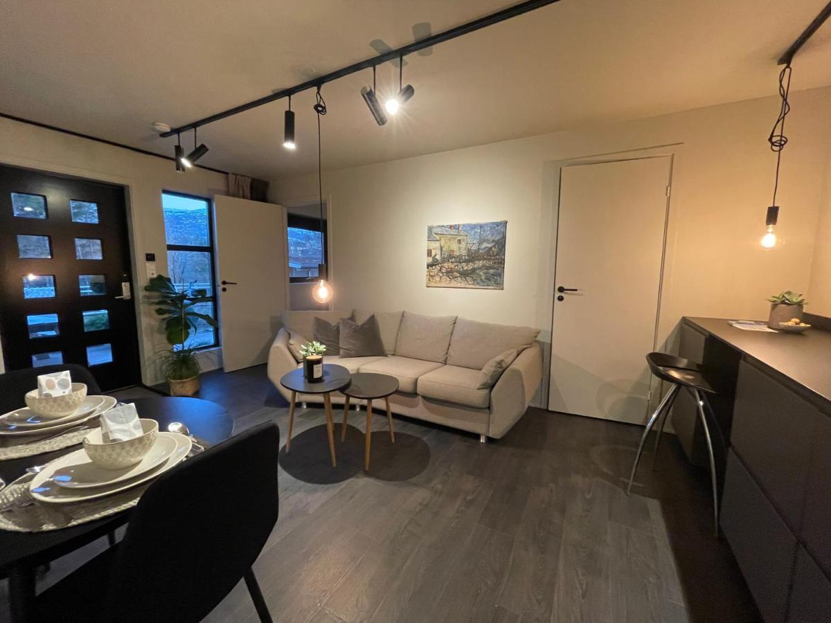 Studio Leilighet, Nyoppusset Langevag Εξωτερικό φωτογραφία